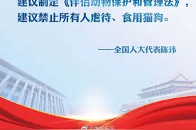 全国人大代表：建议制定法律禁虐禁食猫狗图片
