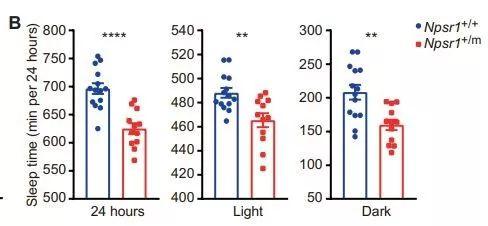 睡得少照样记性好！科学家找到了有可能实现这种好事儿的基因