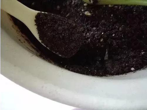 养分含量超高的营养土，自己在家也能做，省下一大笔 买花钱