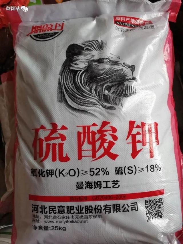 婧冪枴鐥呭浣曟牴娌伙紵鏌戞鎬庝箞鍍忓崡鐡滀竴鏍凤紵鑶ㄦ灉绋虫灉鍙互杩欎袱涓偉涔堬紵