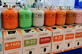 中法德三国首脑视频会晤，中国决定接受基加利修正案图片