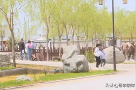 "五一"民俗乡村游 甘肃景泰“石头部落、陇中名驿”大水䃎村邀您体验图片