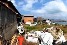 海滩上传来凄惨叫声，发现猫咪被困岩石里，手指差点被夹断图片