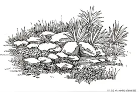 怎样才能画出生动的石头？教你画法技巧，赶快收藏学习了图片