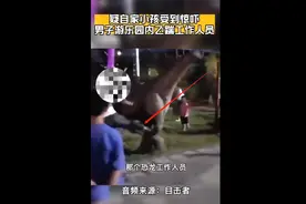 男子游乐园内飞踹霸王龙3脚，疑因孩子受惊吓，负责人：不想闹大，项目刚起步图片