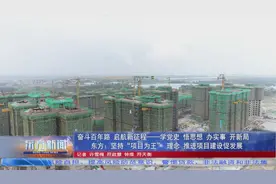 奋斗百年路 启航新征程-学党史 悟思想 办实事 开新局 东方：坚持“项目为王”理念 推进项目建设促发展图片