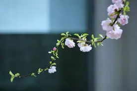 一个人心里有没有你，很好判断图片