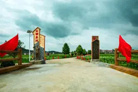 南丰：“激活”“用活”红色文化资源 赋能革命老区乡村振兴图片
