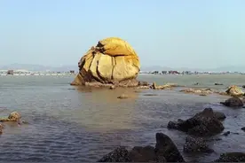 带你了解饶平图片