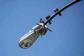 警方用“智能路灯”监控画面引民众抗议，美计划出台严厉的隐私法图片