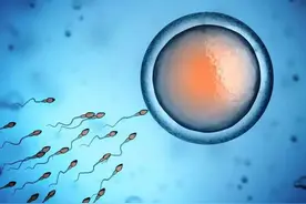试管婴儿会增加出生缺陷吗？图片