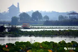 我有个梦想，希望把家乡淮阳打造成如此模样！（中）图片