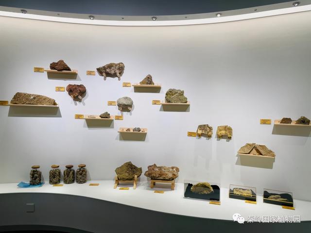 5.19中国旅游日~让我们相约醉美秦岭