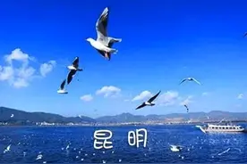彩云之南，一景一坑的跟团游图片