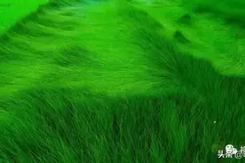 我的家乡：被苍翠掩映的血性祁东图片
