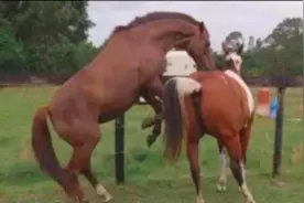 这就是让人羡慕的爱情，简单且纯粹，真不错图片