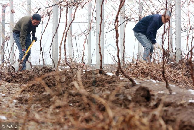 钁¤悇璇ユ€庝箞鏂界敤涓井閲忓厓绱犺偉鍛紵