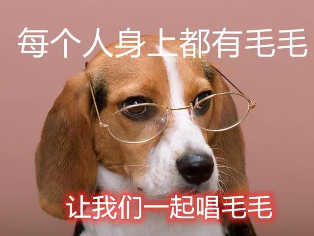 润采身体乳