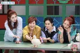 餐厅也是社交场，《请吃饭的姐姐》如何解锁美食的多元属性图片