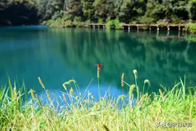 杭州小众自驾，茶村竟然隐藏一个“小九寨”，一泓碧波镶嵌在山谷图片