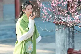 梅林佛国，近在咫尺的莆田赏梅胜地！图片