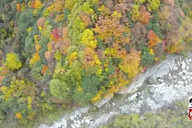 网红小八力荐家乡青川美景 网友羡慕了图片