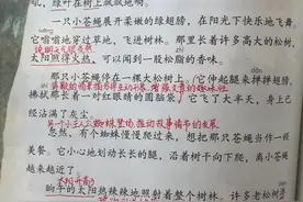 四年级语文下册，第5课《琥珀》课堂笔记及全文解析~图片