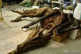 老人自称见过龙，还拿出5块“龙骨”图片