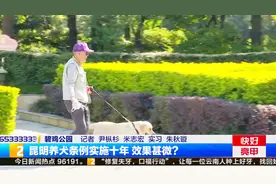昆明养犬条例实施十年 仍是一地狗屎、犬只放养视频封面