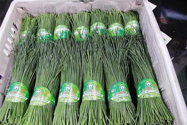 50元一斤！亏100多万也要种的“天价”葱，真的赚钱吗？