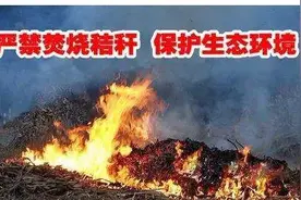 秸秆禁烧宣传｜自家田里焚烧秸秆违法吗？图片