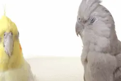 没事找事，很容易找来坏事图片