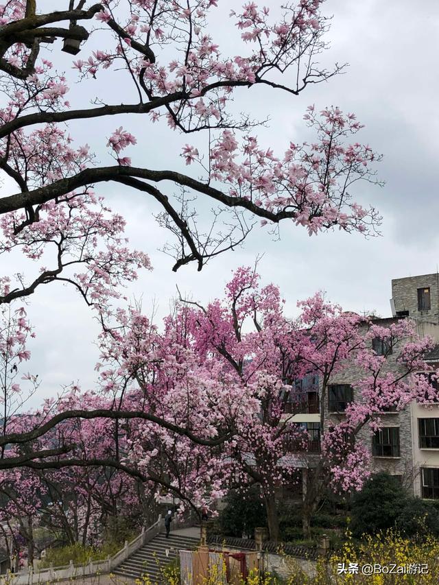 到四川绵阳市旅游不能错过的18个景点，你去过几个？最爱哪个景点