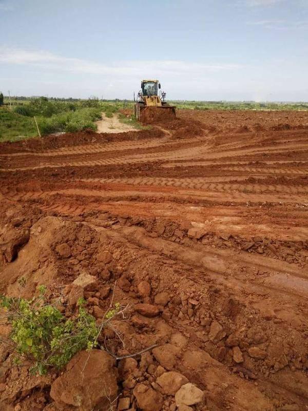 海南农业领军企业---东方嘉品源农业科技开发有限公司