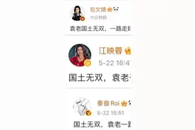 国土无双？抄袭原来也能这么搞笑图片