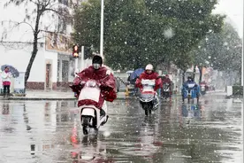 寒露后，天气转凉，教你4道热汤做法，喝一口，比吃火锅还要暖和图片