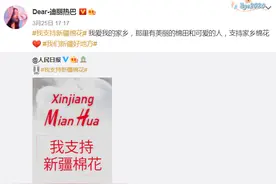 “新疆丫头子”迪丽热巴，从不缺席一次国家大义图片