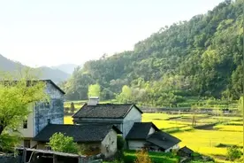 淮安法院2020年度房屋征收与补偿十大典型案例图片