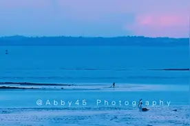 坐拥最美日出的厦门观音山，有个宝藏度假地，连本地人都极少知道图片