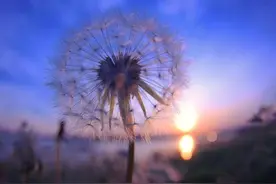 人在单位，要学会善待这几个人图片