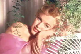 114万年前，人类褪去了全身毛发，为何保留了头发、腋毛和阴毛？图片