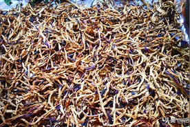 立秋后，碰到这菜别手软，买上10几斤，晒一晒，留着冬天炖肉特香图片