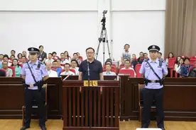 行贿“火书记”，80后商人获刑6年图片