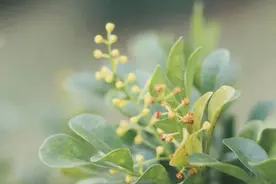 平日大大咧咧，但关键时候很靠谱的星座，让人刮目相看图片