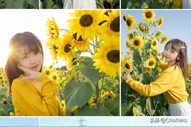 留莞过年｜东莞拍照赏花8大好去处图片