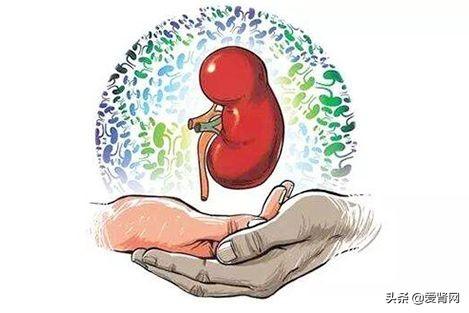 这4件事加速肾衰及病情复发，不想患尿毒症，必须注意！