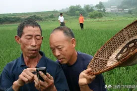农民是一种身份还是职业，农民有没有种粮的义务？看专家怎么说？图片