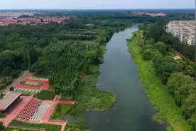 大运沧州 | 兴济运河小吃街邀你来打卡！图片