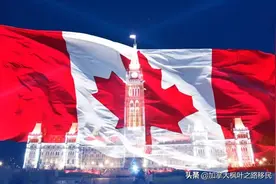 加拿大移民中介费那么贵，可以不找移民中介吗？图片