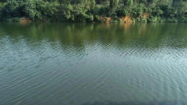 涨姿势！掌握不同阶段肥水知识，你值得拥有